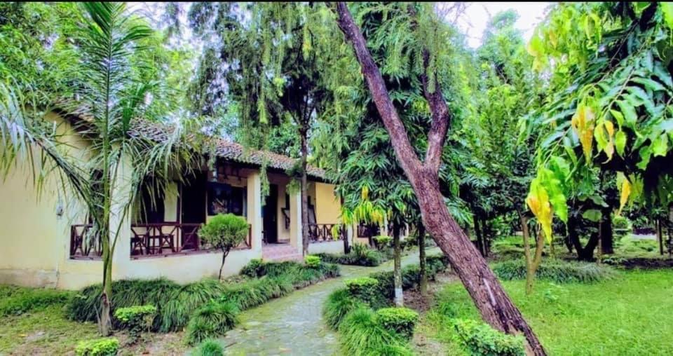 Rhino Lodge Bardia Pvt Ltd Bardiya Exterior foto